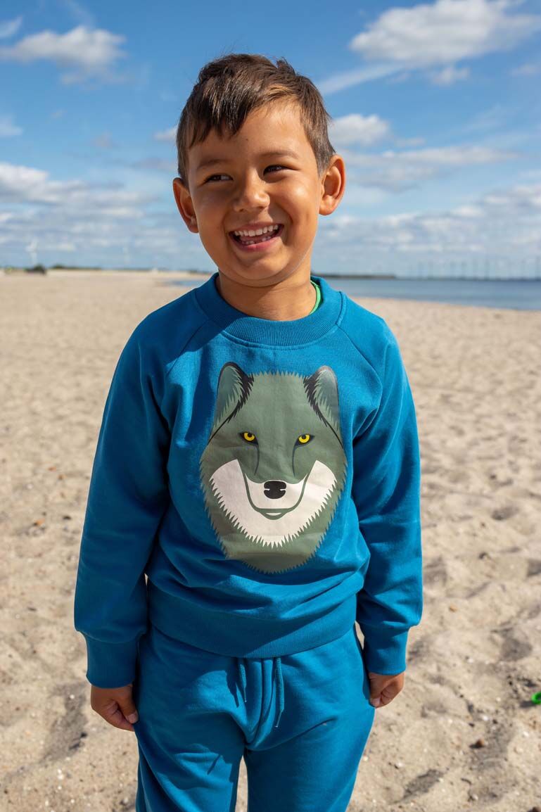 Skøn blå sweatshirt til børn med print af ulv