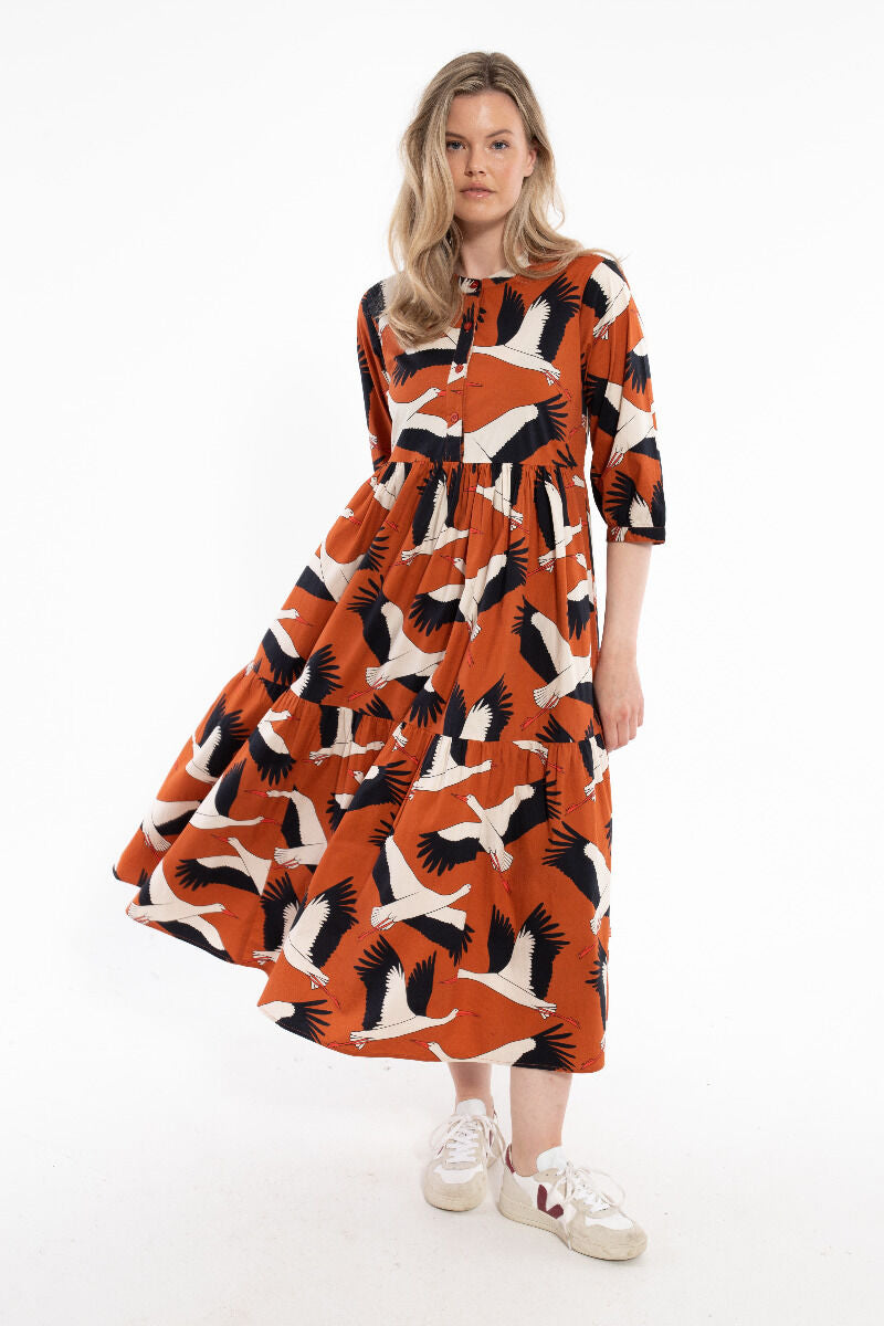 Danegoodie dress Rust BIG STORK