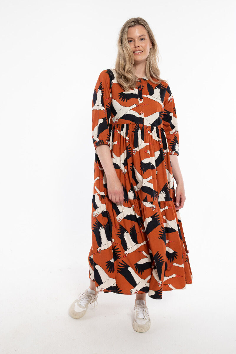 Danegoodie dress Rust BIG STORK