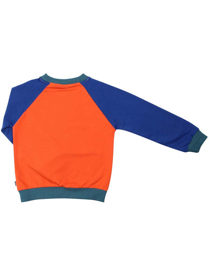Sweater med viking. 