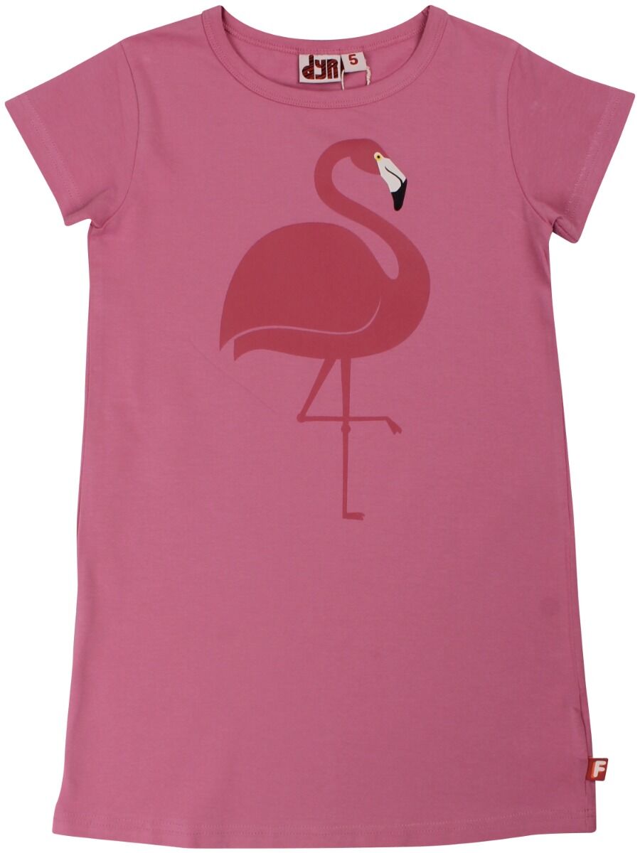 Dyrloud Dress Old rose FLAMINGO