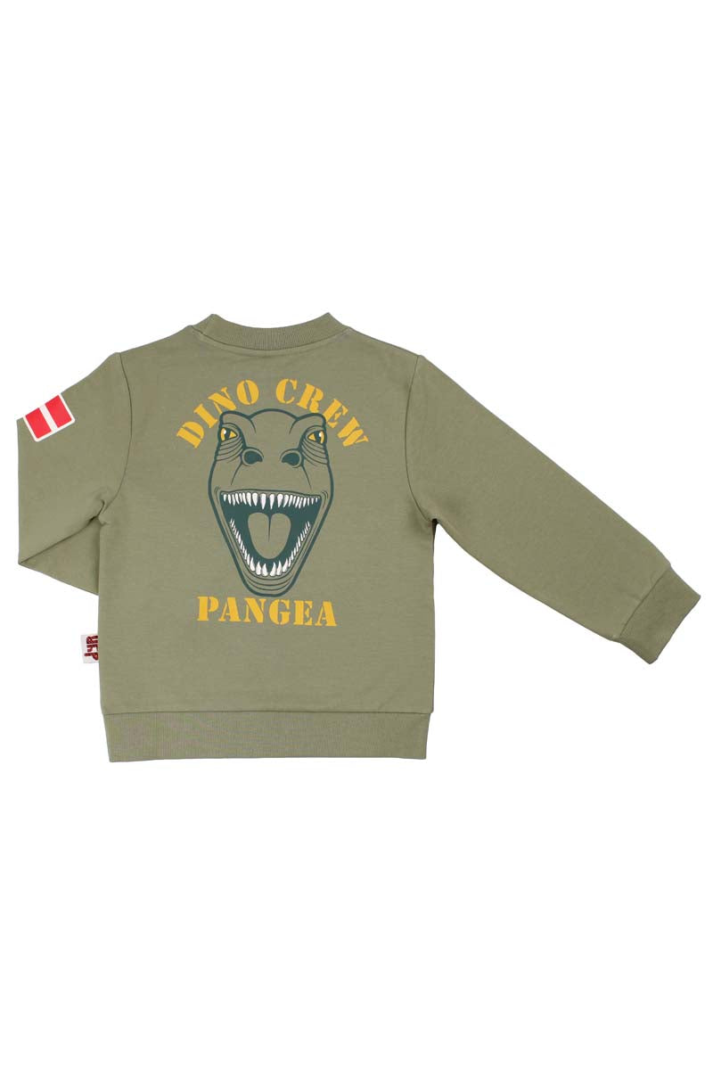 Sød sweatshirt til børn med print af t-rex dinosaur