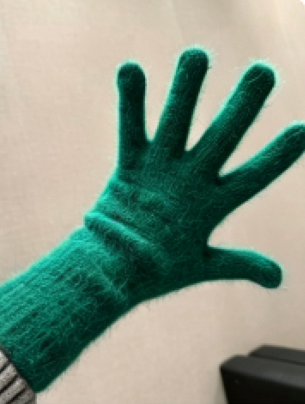 Pied Pied Classic Gloves Green