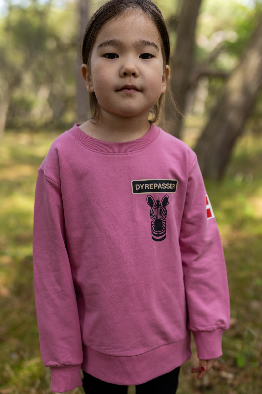 Sød dyrepasser sweatshirt til børn med print af zebra
