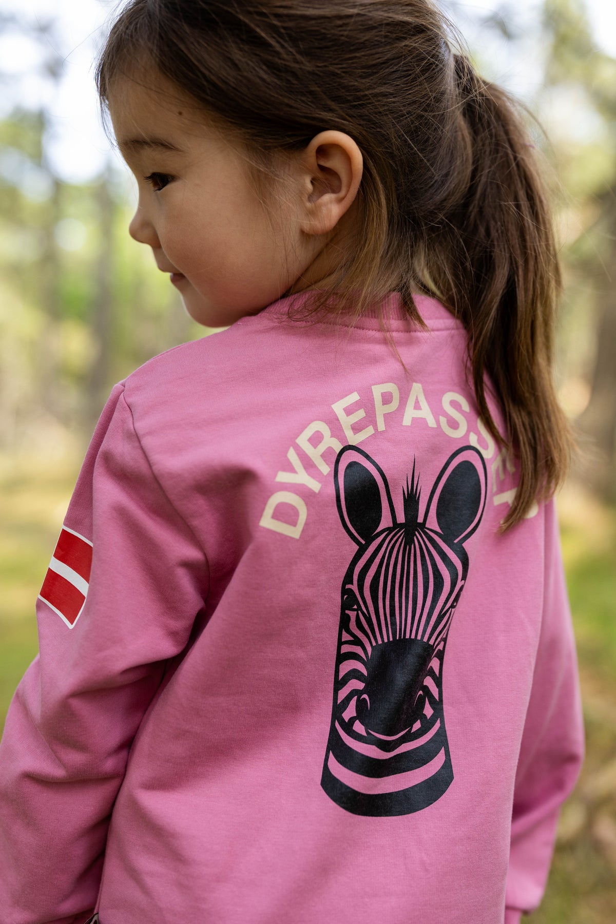 Sød dyrepasser sweatshirt til børn med print af zebra