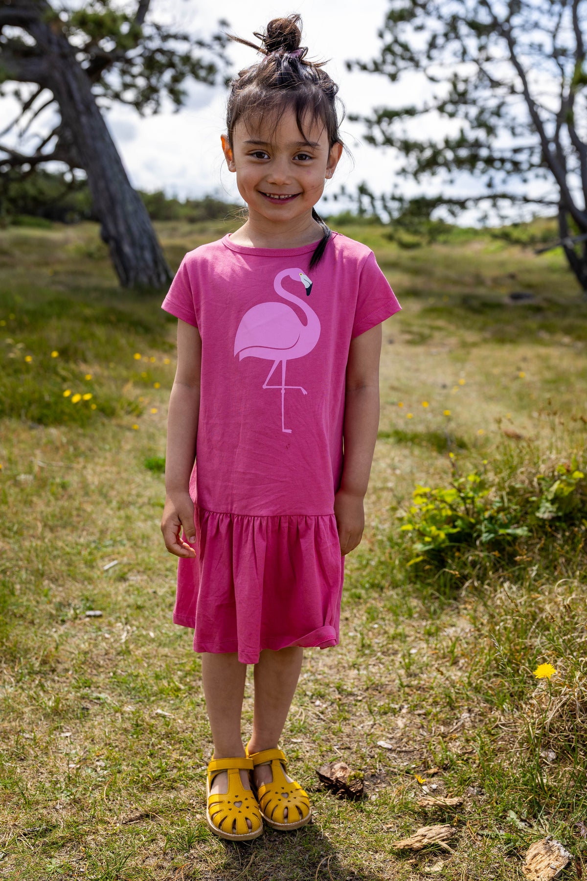 Dyrperky SS Dress Soft Cherry FLAMINGO