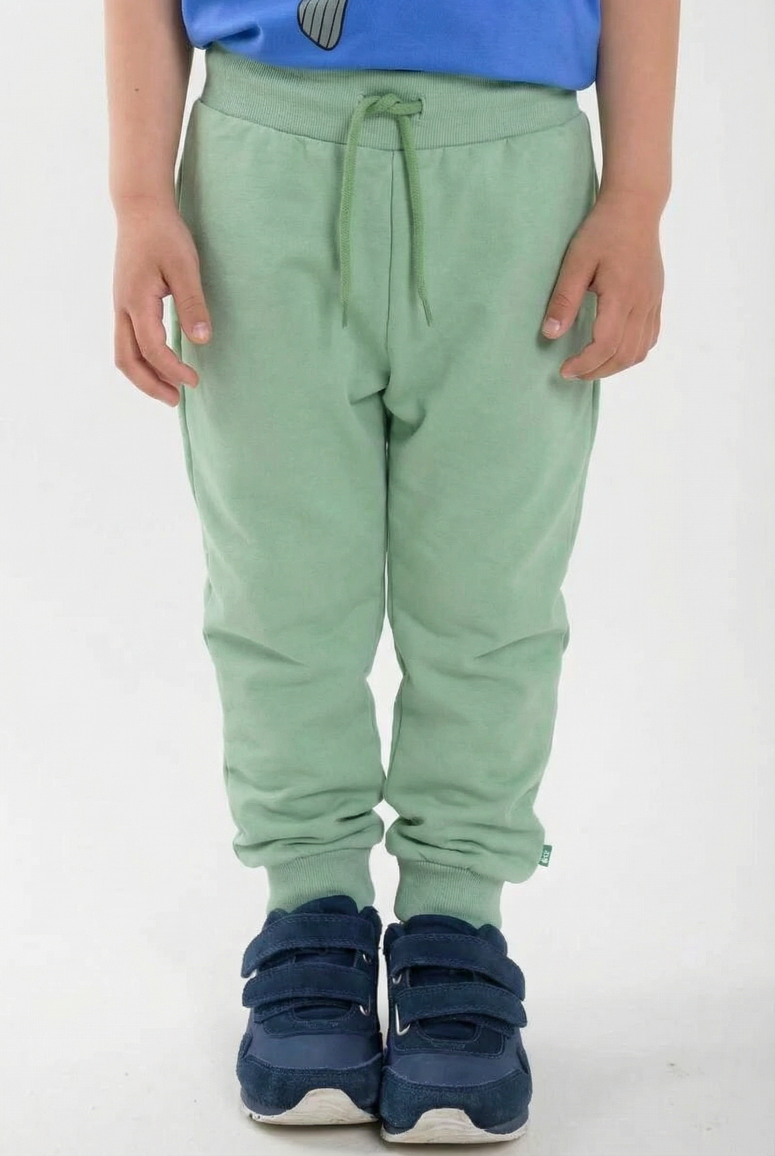 Danebronze Pants Sage