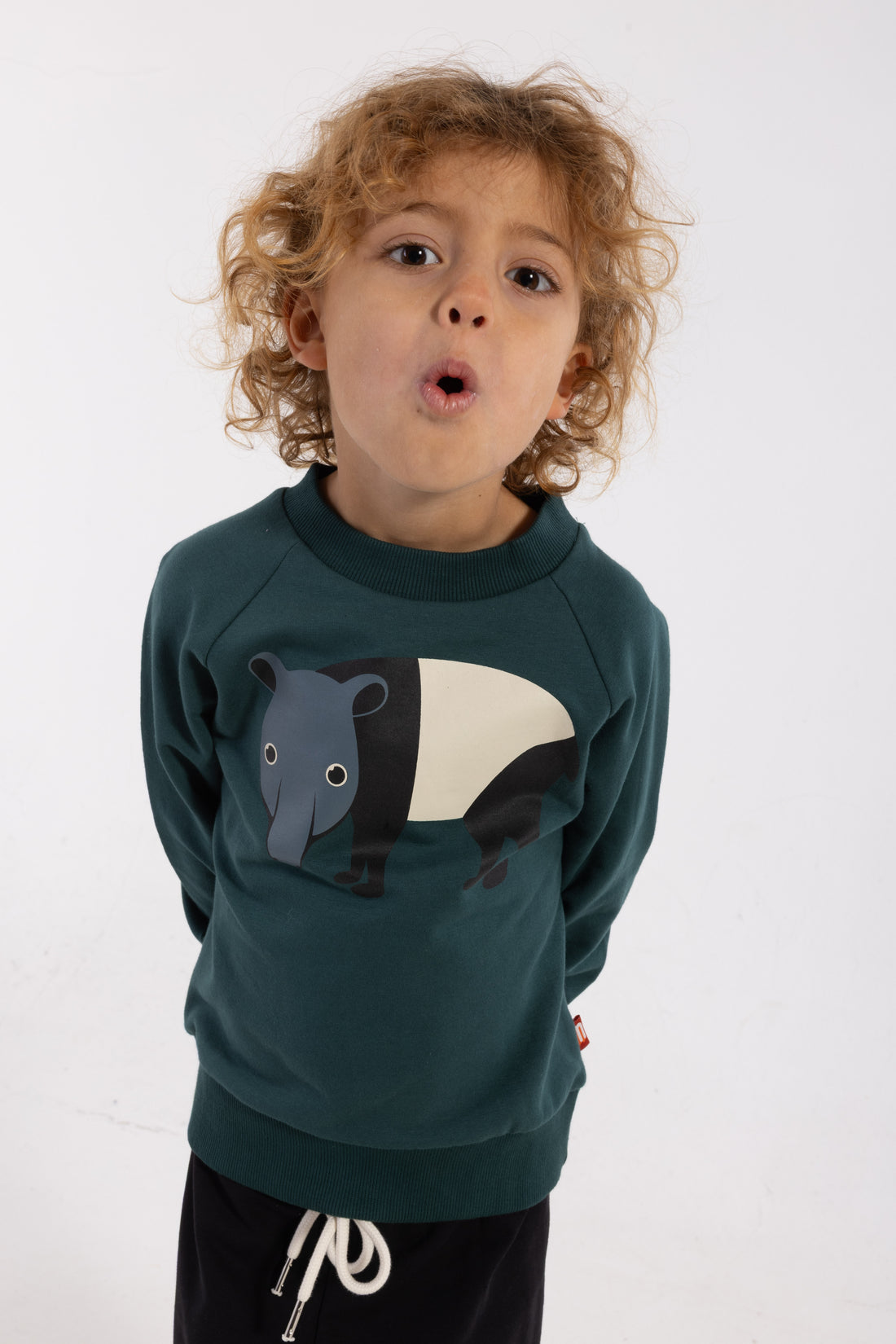 Skøn blågrøn sweatshirt til børn med print af myresluger