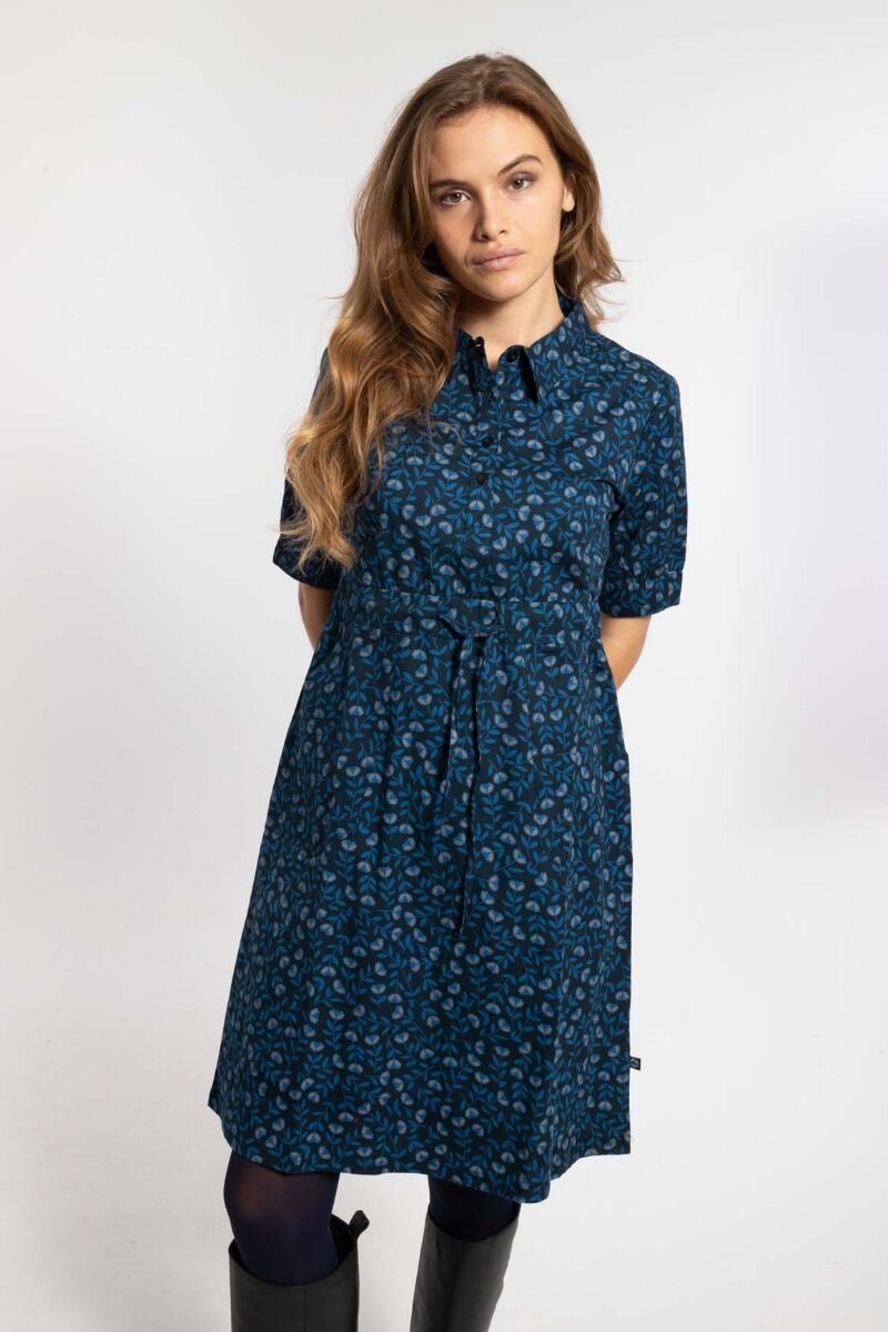 Danesusanne Poplin Dress Marine/Cold Blue FLEURIE