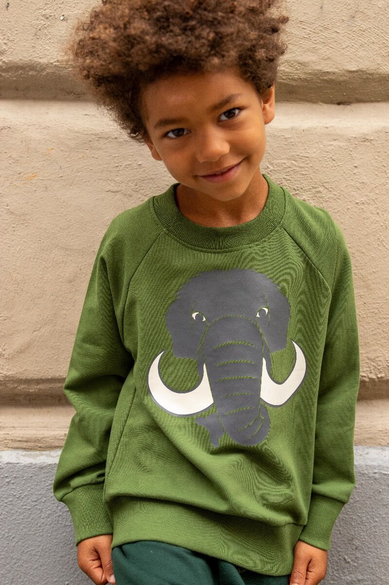 Sød grøn sweatshirt til børn med print af en mammut