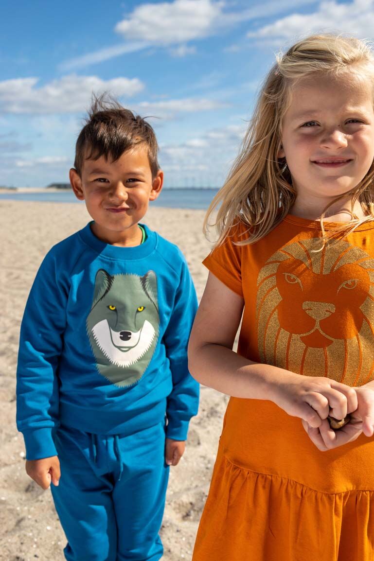 Skøn blå sweatshirt til børn med print af ulv