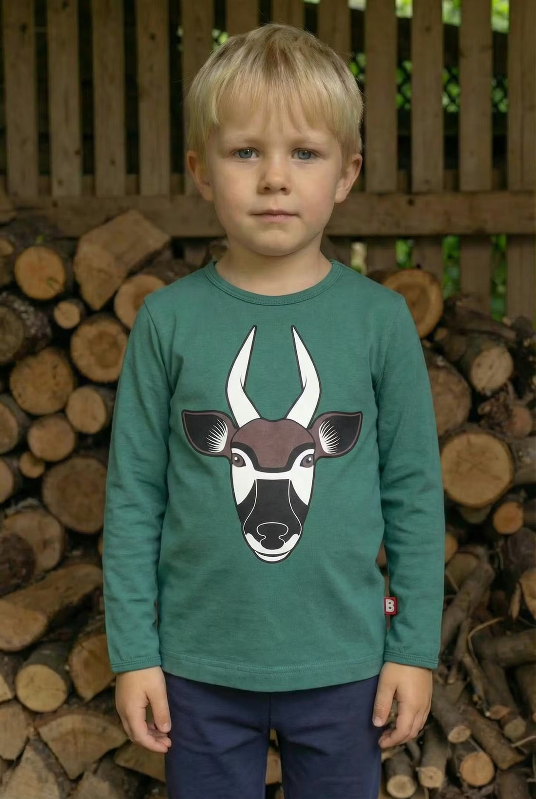 Dyrroar T Dark Pine BONGO ANTILOPE