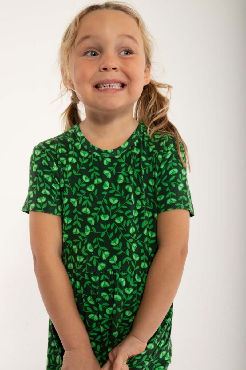Danelollipop Dress SS Green FLEURIE
