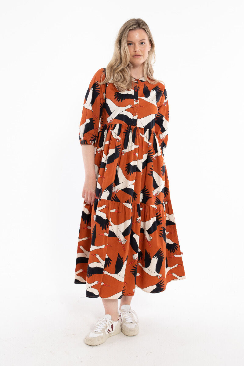 Danegoodie dress Rust BIG STORK
